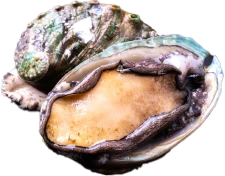鮑